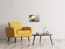 Load image into Gallery viewer, Canvas print The chick

