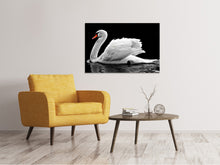 Load image into Gallery viewer, Canvas print The graceful swan
