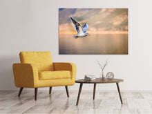 Load image into Gallery viewer, Canvas print The flying seagull

