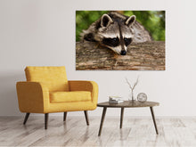 Load image into Gallery viewer, Canvas print The cute raccoon
