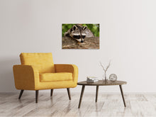 Load image into Gallery viewer, Canvas print The cute raccoon

