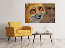 Load image into Gallery viewer, Canvas print The Fox
