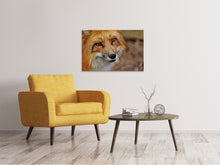 Load image into Gallery viewer, Canvas print The Fox
