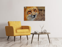 Load image into Gallery viewer, Canvas print The Fox
