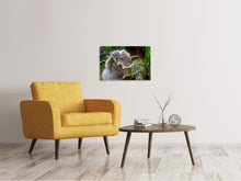 Load image into Gallery viewer, Canvas print Mom and baby koala
