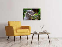 Load image into Gallery viewer, Canvas print Mom and baby koala
