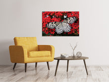 Load image into Gallery viewer, Canvas print Butterfly in XXL
