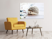 Load image into Gallery viewer, Canvas print The hedgehog baby
