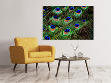 Load image into Gallery viewer, Canvas print Peacock feathers XXL
