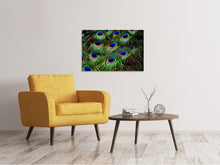 Load image into Gallery viewer, Canvas print Peacock feathers XXL
