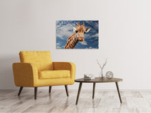 Load image into Gallery viewer, Canvas print Attention giraffe!
