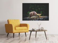 Load image into Gallery viewer, Canvas print Snail XXL
