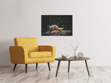 Load image into Gallery viewer, Canvas print Snail XXL
