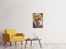 Load image into Gallery viewer, Canvas print The Barbary macaque
