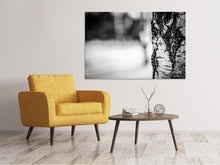 Load image into Gallery viewer, Canvas print Birch trunk
