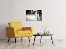 Load image into Gallery viewer, Canvas print Birch trunk
