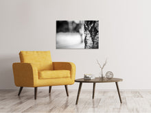 Load image into Gallery viewer, Canvas print Birch trunk
