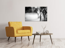 Load image into Gallery viewer, Canvas print Birch trunk
