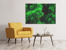 Load image into Gallery viewer, Canvas print Pine XL
