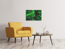 Load image into Gallery viewer, Canvas print Pine XL
