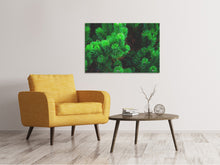 Load image into Gallery viewer, Canvas print Pine XL
