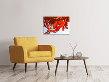 Load image into Gallery viewer, Canvas print Red leaves XL

