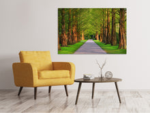 Load image into Gallery viewer, Canvas print Beautiful avenue in nature
