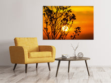Load image into Gallery viewer, Canvas print A shrub in the sunset
