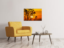 Load image into Gallery viewer, Canvas print A shrub in the sunset
