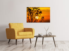 Load image into Gallery viewer, Canvas print A shrub in the sunset
