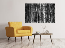 Load image into Gallery viewer, Canvas print Many birches XL
