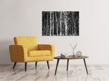 Load image into Gallery viewer, Canvas print Many birches XL
