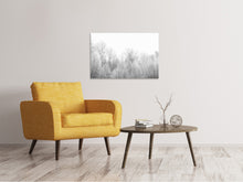 Load image into Gallery viewer, Canvas print Birches in the snow
