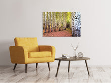 Load image into Gallery viewer, Canvas print the path between birches
