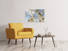 Load image into Gallery viewer, Canvas print The 2 birches

