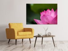 Load image into Gallery viewer, Canvas print Marko Lotus in pink
