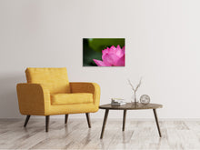 Load image into Gallery viewer, Canvas print Marko Lotus in pink
