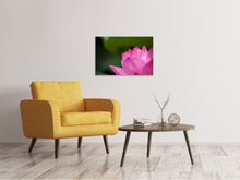 Load image into Gallery viewer, Canvas print Marko Lotus in pink
