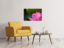 Load image into Gallery viewer, Canvas print Marko Lotus in pink
