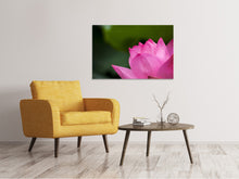 Load image into Gallery viewer, Canvas print Marko Lotus in pink
