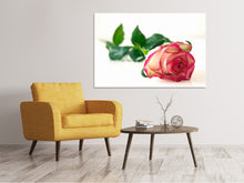 Load image into Gallery viewer, Canvas print The proud rose
