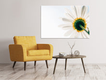 Load image into Gallery viewer, Canvas print A daisy
