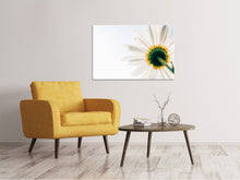 Load image into Gallery viewer, Canvas print A daisy
