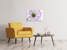 Load image into Gallery viewer, Canvas print The cosmos flower
