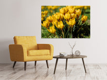 Load image into Gallery viewer, Canvas print Crocuses in spring
