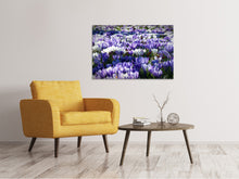Load image into Gallery viewer, Canvas print A field full of crocuses
