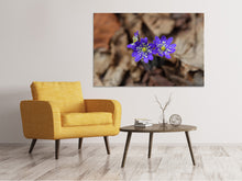 Load image into Gallery viewer, Canvas print wildflowers
