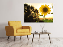 Load image into Gallery viewer, Canvas print Sunflower in the sunrise
