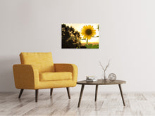 Load image into Gallery viewer, Canvas print Sunflower in the sunrise
