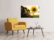 Load image into Gallery viewer, Canvas print Sunflower in the sunrise
